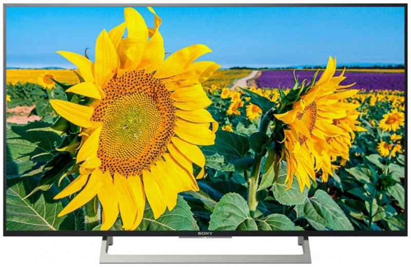 Sony KD-49XF8096 Tv Paneli