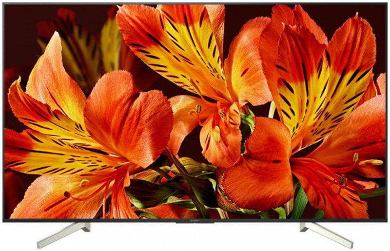 Sony KD-49XF8596 Tv Paneli